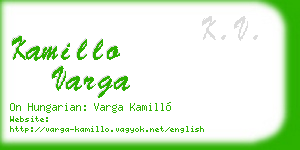 kamillo varga business card